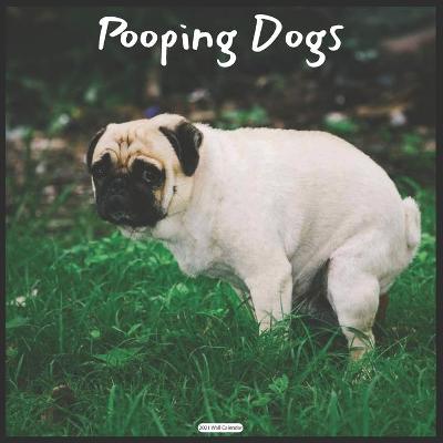Book cover for Pooping Dogs 2021 Wall Calendar