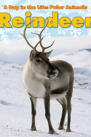 Cover of Reindeer (A Day in the Life: Polar Animals)