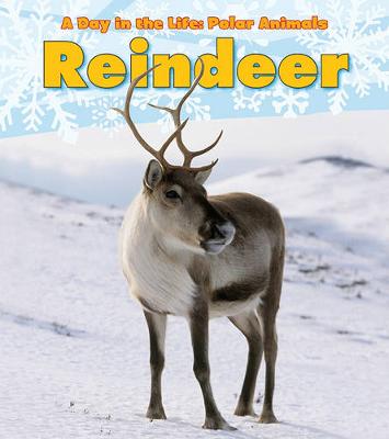Book cover for Reindeer (A Day in the Life: Polar Animals)