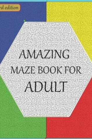 Cover of Amazing maze book for adult