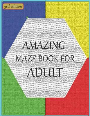 Book cover for Amazing maze book for adult