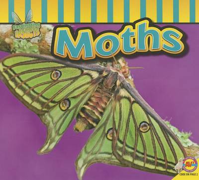 Book cover for Moths