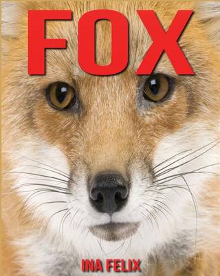 Book cover for Fox