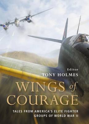Cover of Wings of Courage