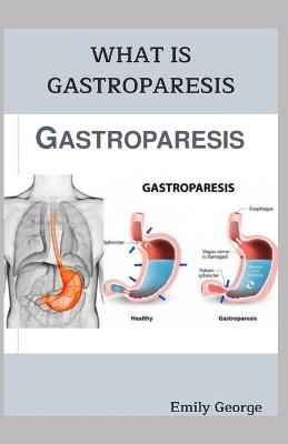 Book cover for What Is Gastroparesis