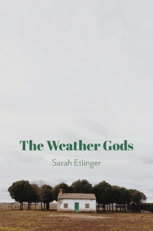 Cover of The Weather Gods