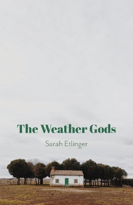 Book cover for The Weather Gods
