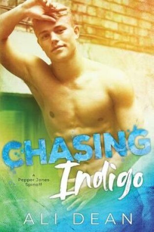 Cover of Chasing Indigo