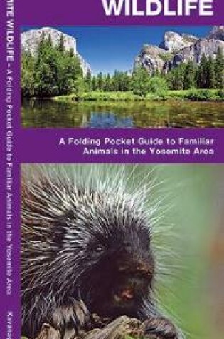 Cover of Yosemite Wildlife