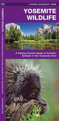 Book cover for Yosemite Wildlife