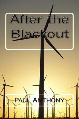 Cover of After the Blackout