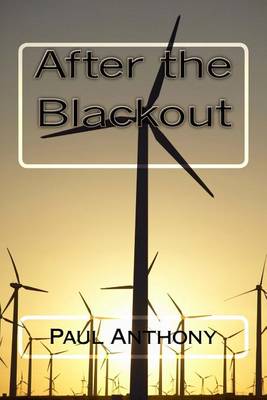 Book cover for After the Blackout