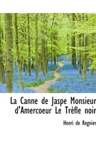 Cover of La Canne de Jaspe Monsieur D'Amercoeur Le Tr Fle Noir