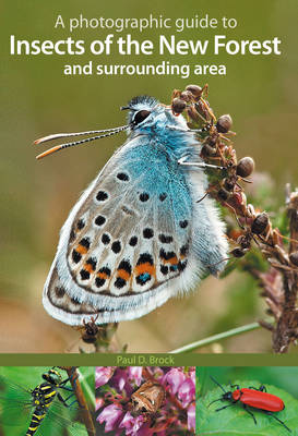 Cover of A Photographic Guide to Insects of the New Forest and Surrounding Area