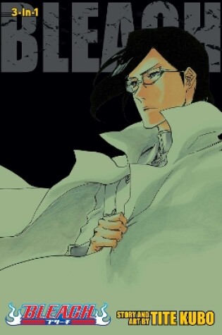 Cover of Bleach (3-in-1 Edition), Vol. 24