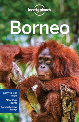 Book cover for Lonely Planet Borneo