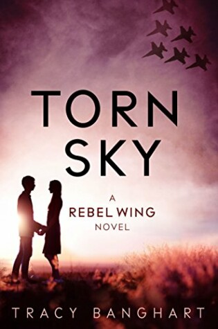 Cover of Torn Sky