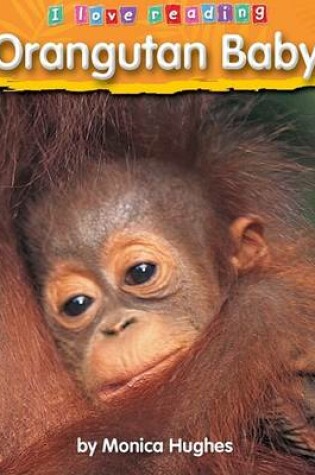 Cover of Orangutan Baby