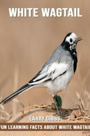 Cover of Fun Learning Facts about White Wagtail