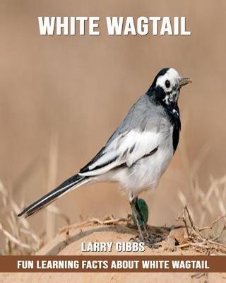 Book cover for Fun Learning Facts about White Wagtail