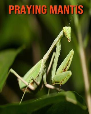 Book cover for Praying Mantis