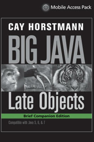 Cover of Reduced Print Component for Big Java Late Objects