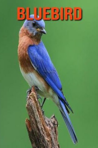 Cover of Bluebird