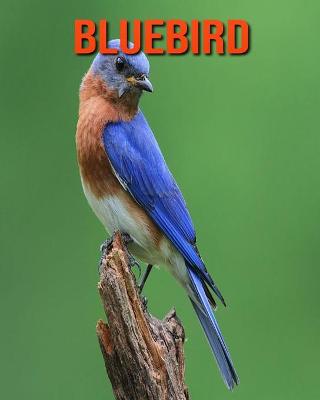 Book cover for Bluebird