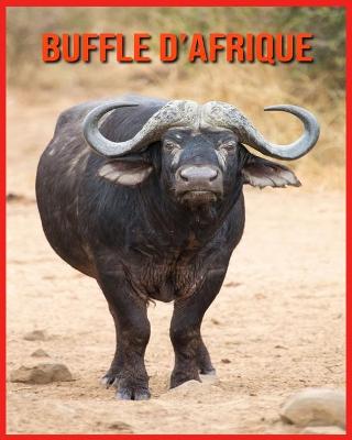 Book cover for Buffle d'Afrique