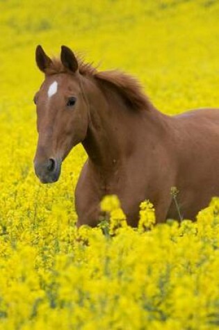 Cover of Running Horse in the Field of Flowers