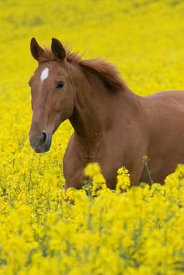 Book cover for Running Horse in the Field of Flowers