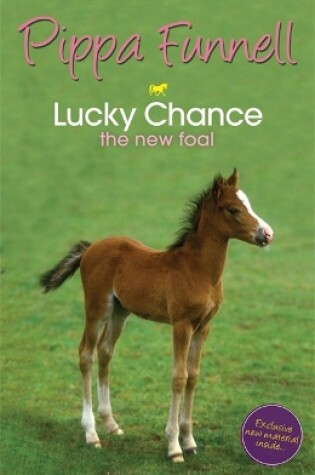 Cover of Lucky Chance the New Foal