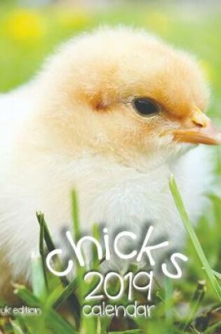 Cover of Chicks 2019 Calendar (UK Edition)