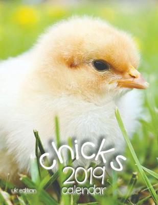 Book cover for Chicks 2019 Calendar (UK Edition)