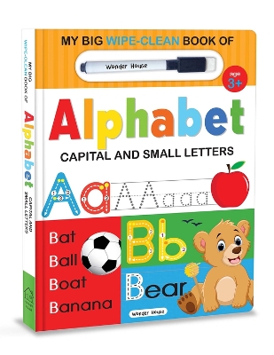 Book cover for My Big Wipe and Clean Book of Alphabet for Kids Capital and Small Letters