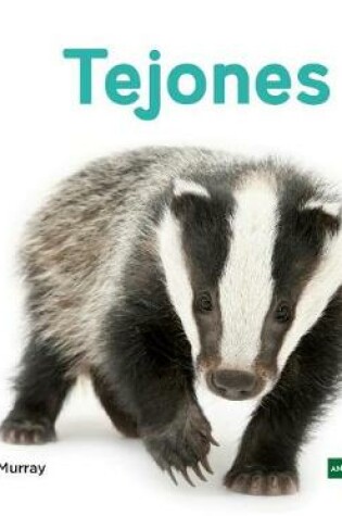 Cover of Tejones (Badgers)