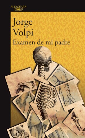Book cover for Examen de mi padre / My Father's Examination