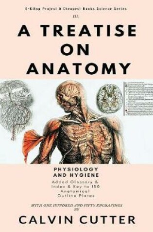 Cover of A Treatise on Anatomy