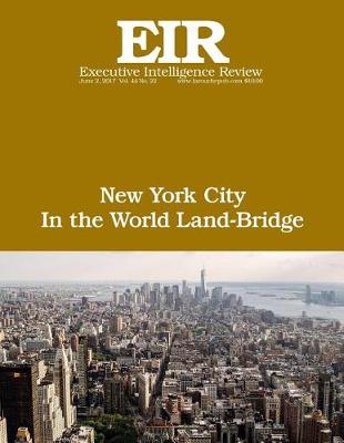Book cover for New York City in the World Land-Bridge