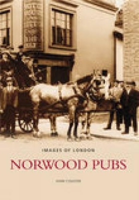 Book cover for Norwood Pubs