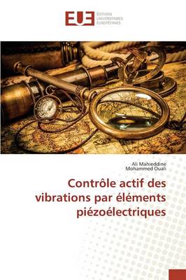 Cover of Controle Actif Des Vibrations Par Elements Piezoelectriques