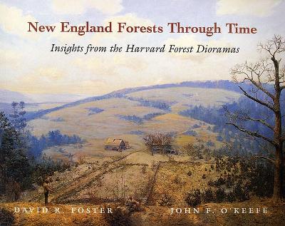 Book cover for New England Forests Through Time