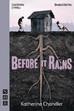 Cover of Before It Rains