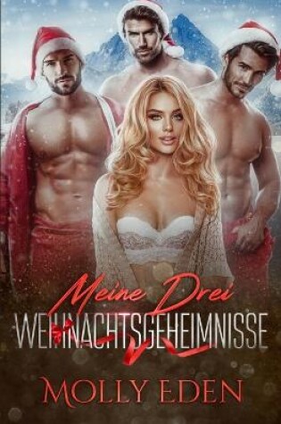 Cover of Meine drei Weihnachtsgeheimnisse