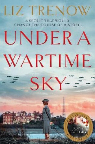 Cover of Under a Wartime Sky