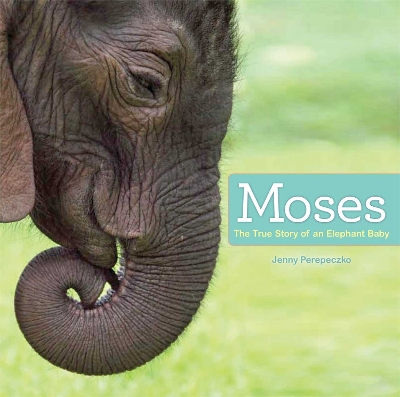 Cover of Moses