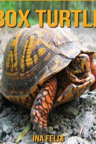 Cover of Box Turtle