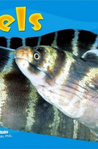 Cover of Eels