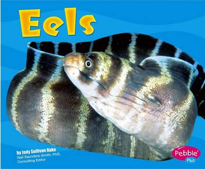 Book cover for Eels