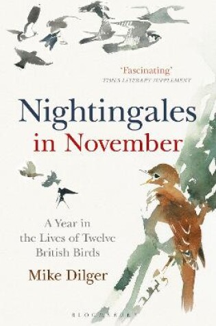 Cover of Nightingales in November